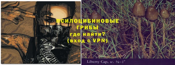 прущие крисы Кулебаки